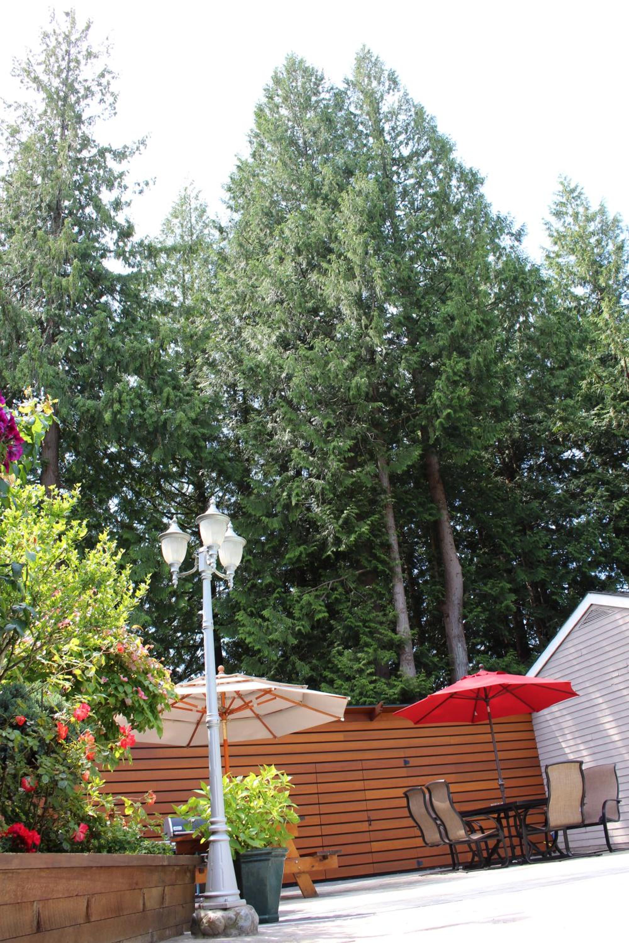 Sunshine Lodge Inn