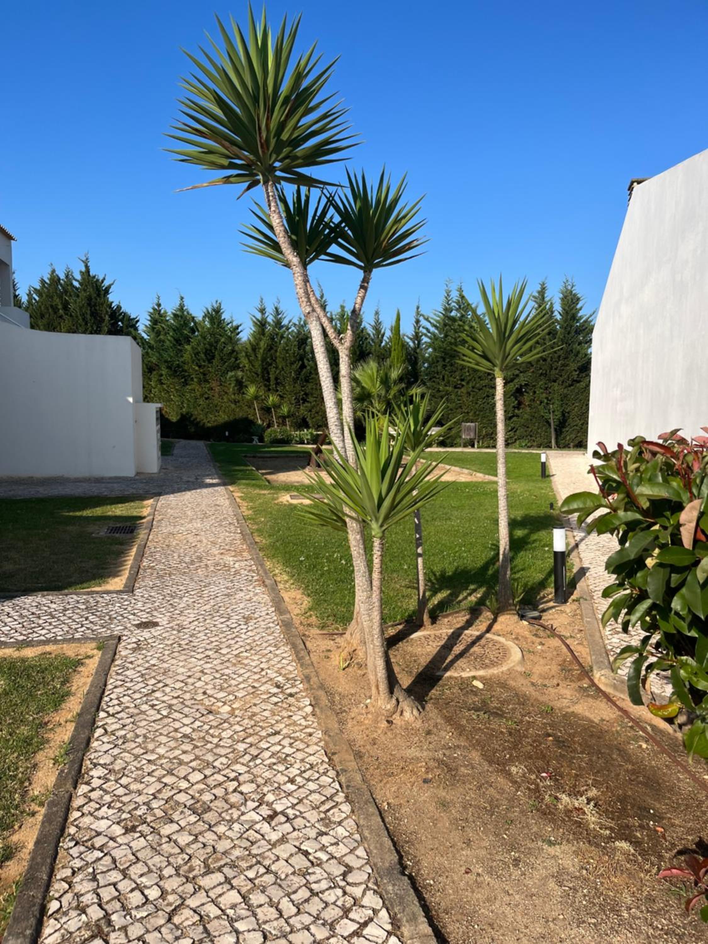 Villa Alvor piscina praia e golf