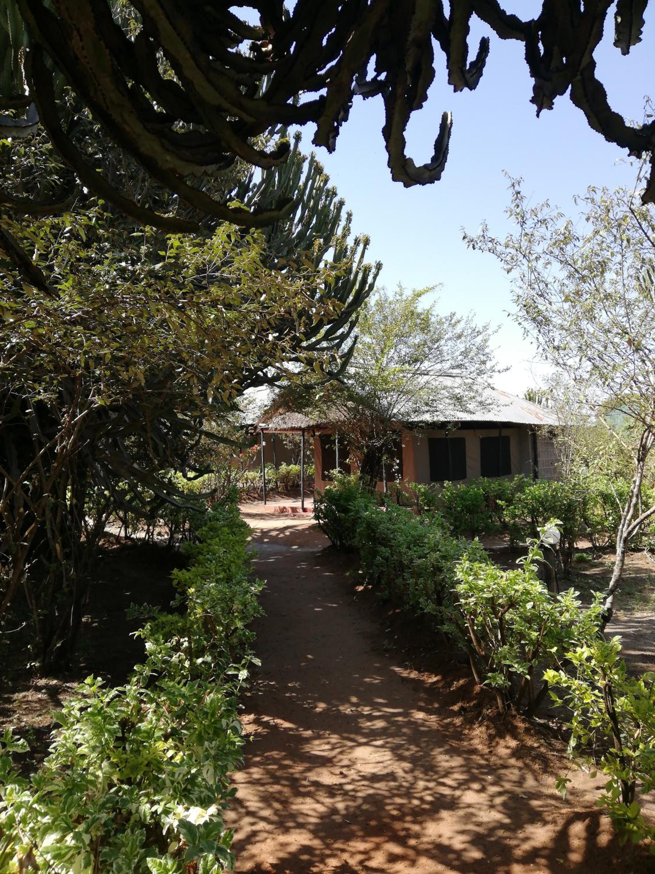 Photo 47