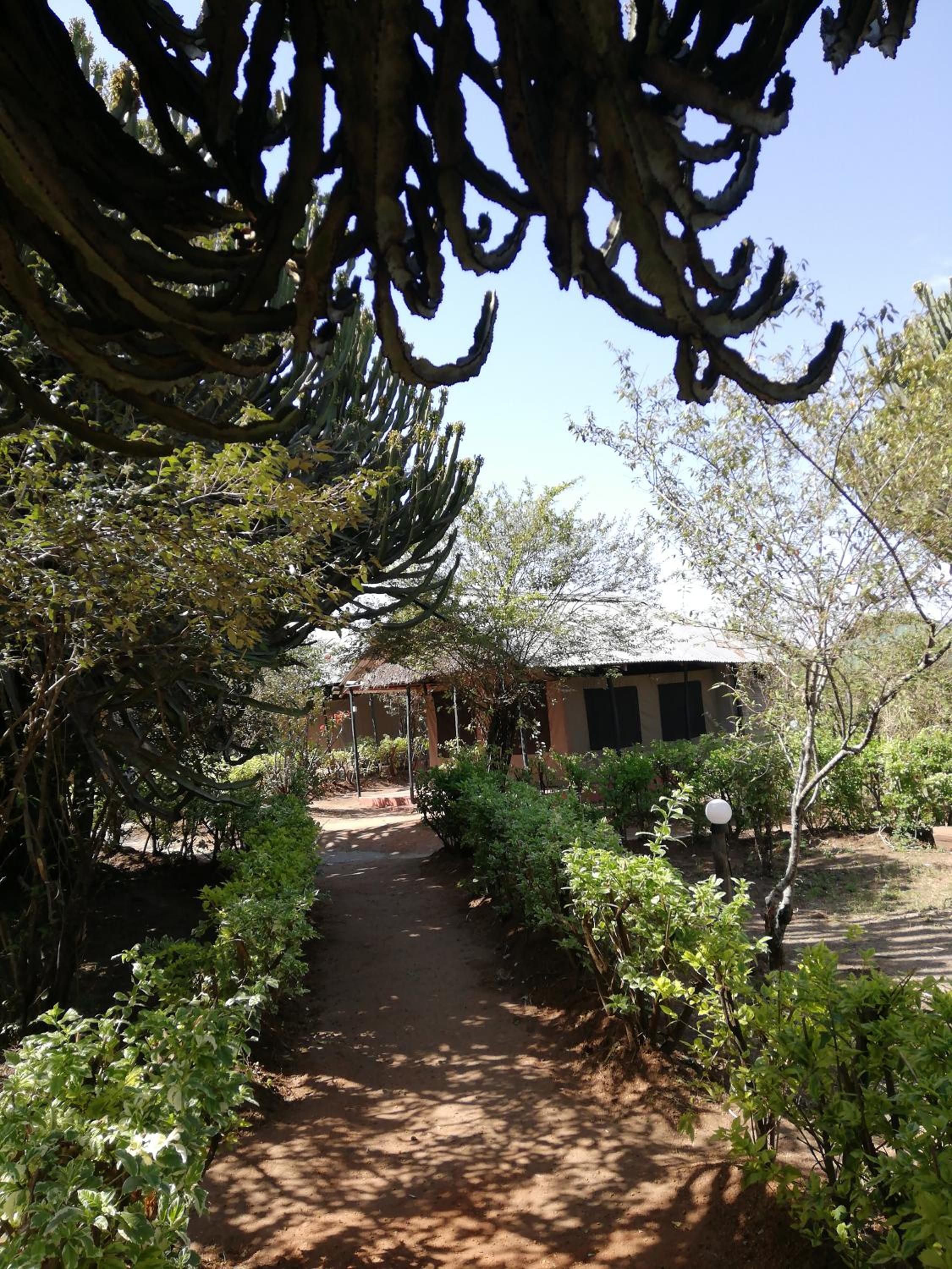 Photo 46