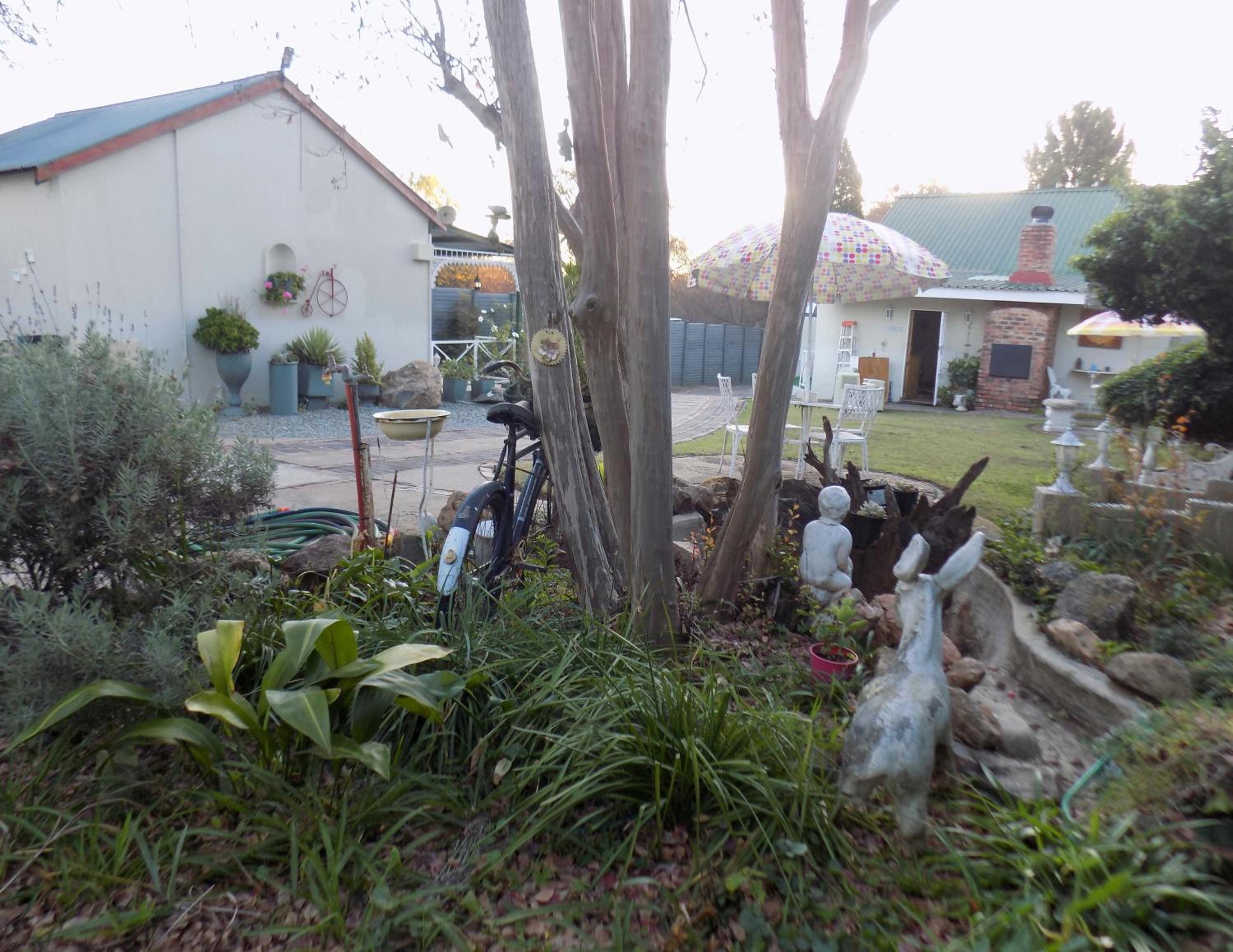 Photo 44