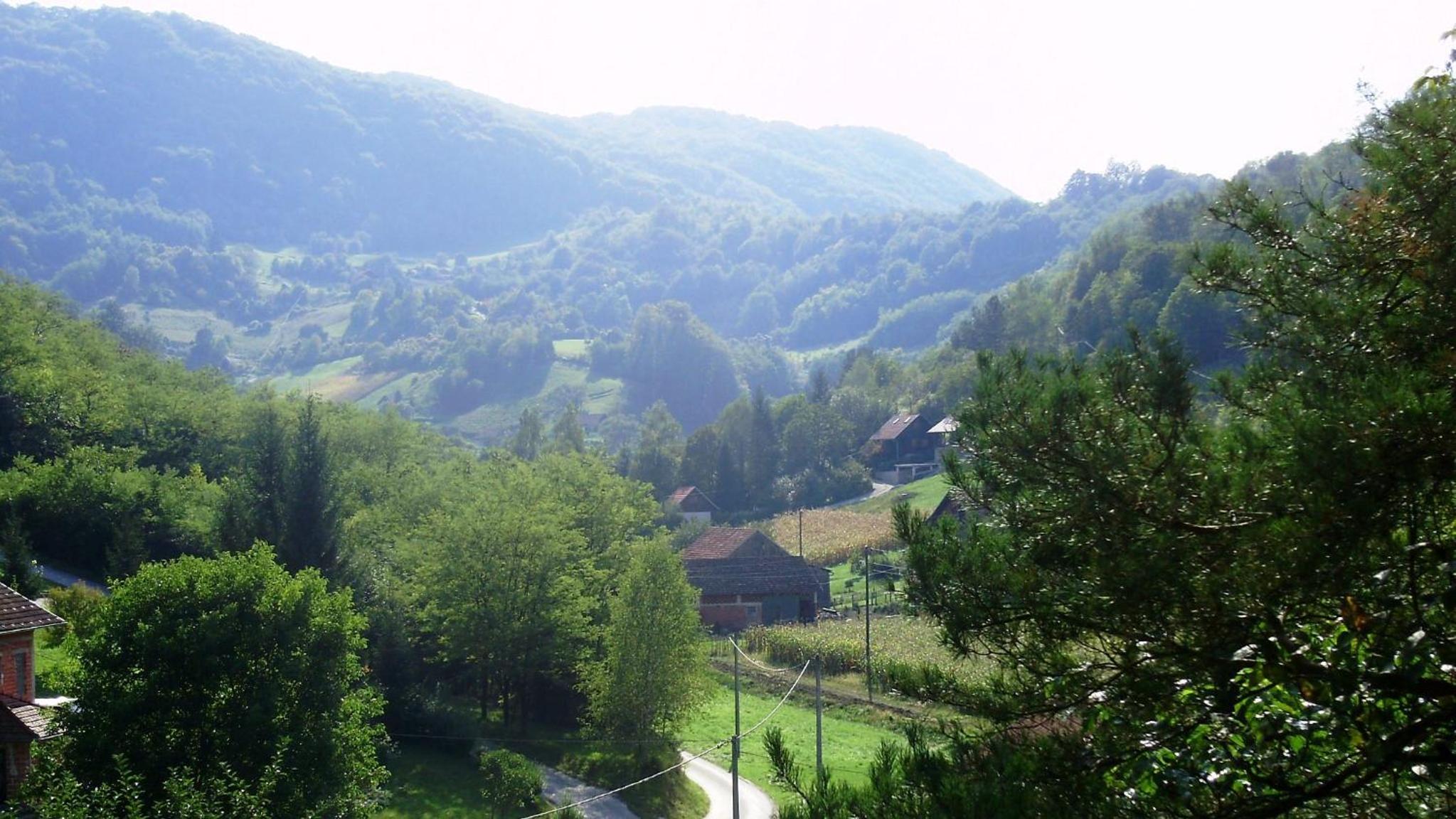 Photo 14