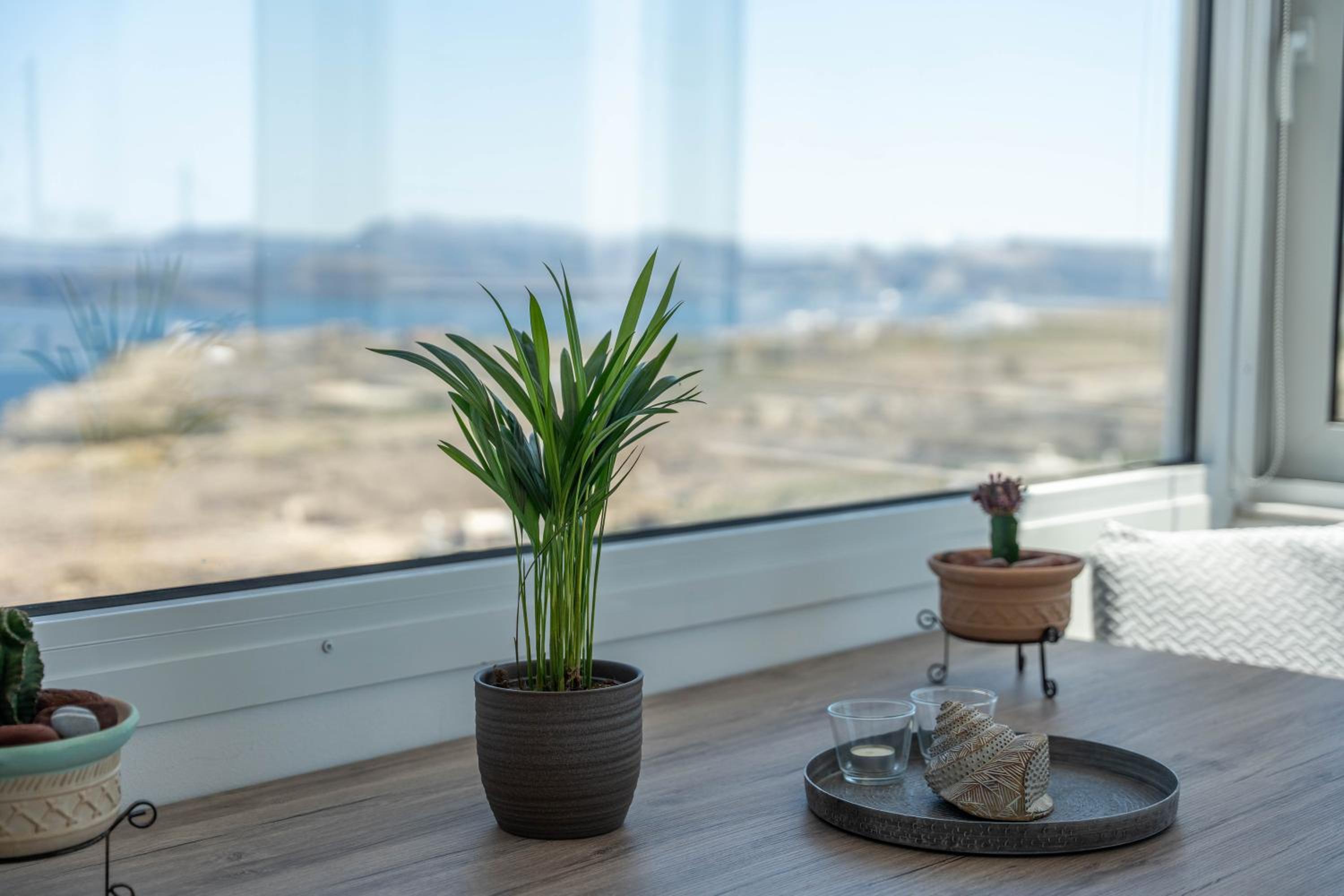 Caldera Heights Apartment