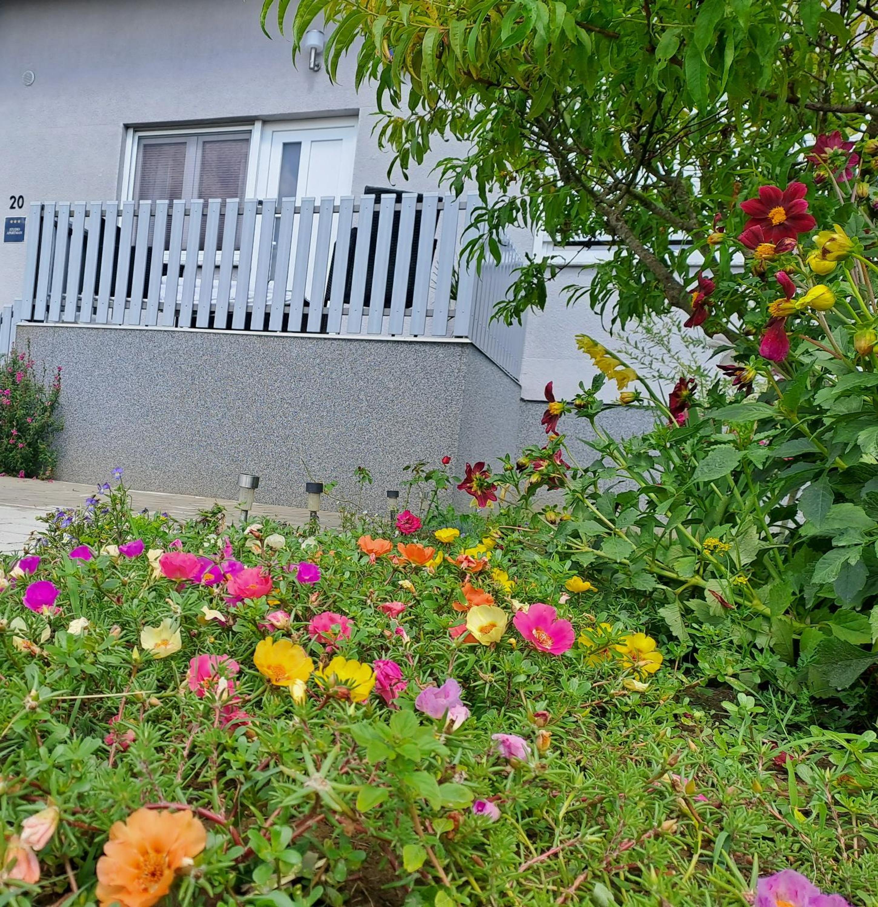 Studio apartman Draga