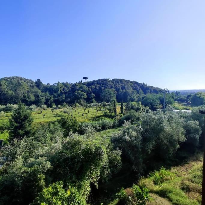 Da Luca e Simona view 3