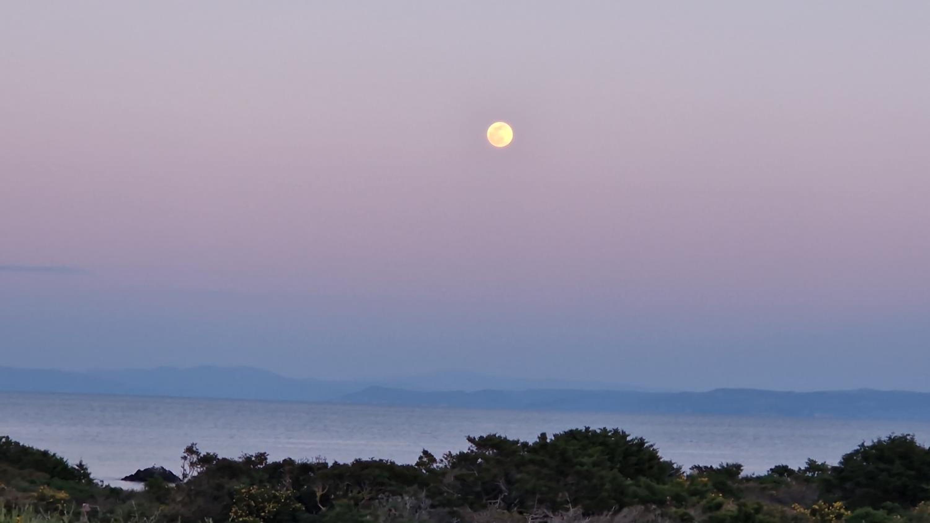 Punta Negra holyday photo 3