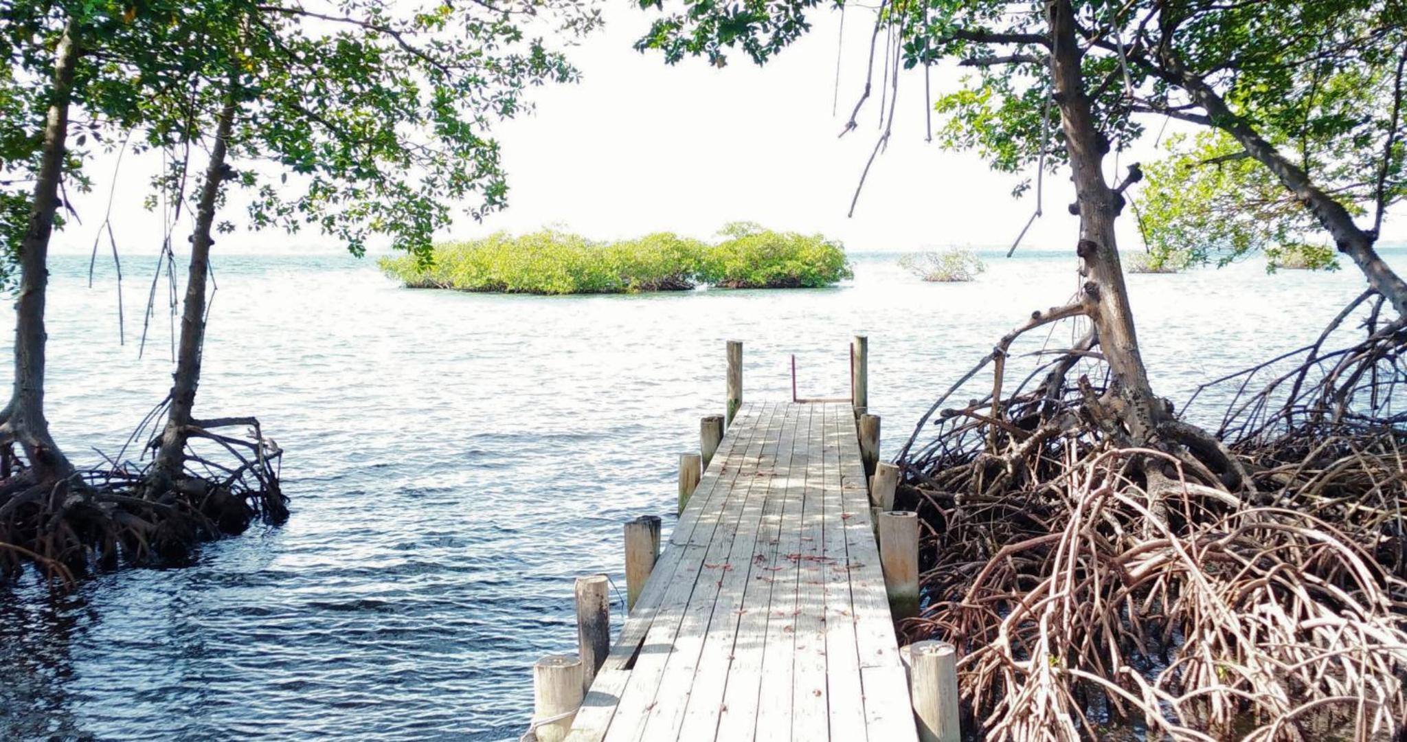 Coco Key EcoLodge 45m2 private and sea access view 4