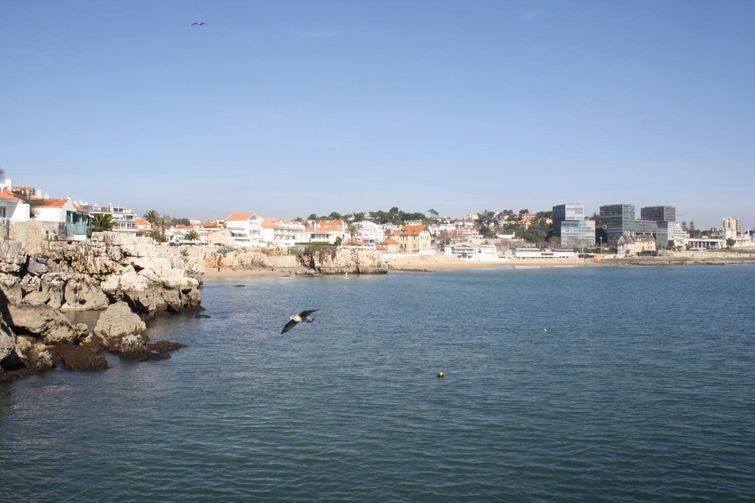 Charming Cascais Apt.