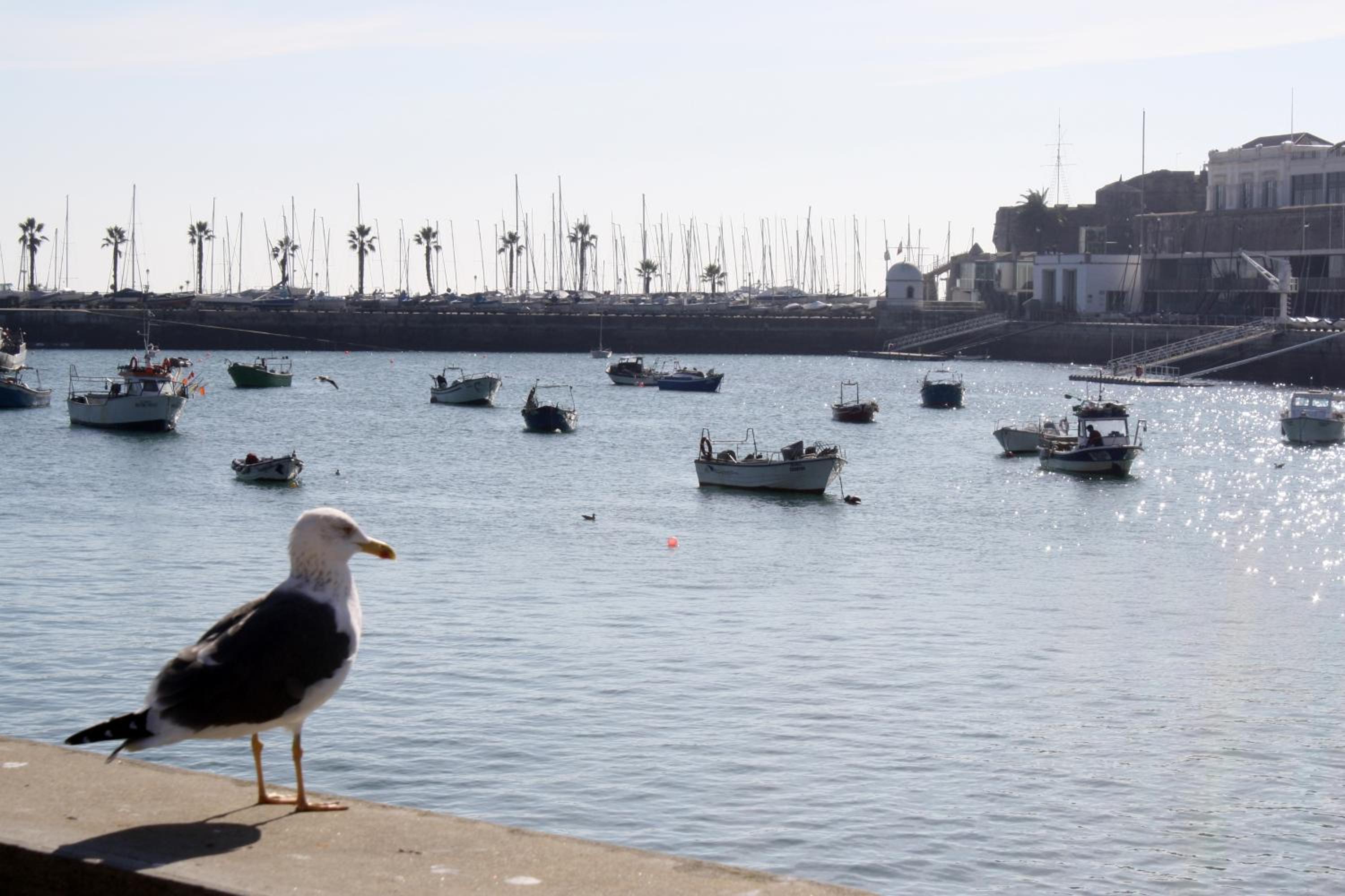 Charming Cascais Apt. en Cascais