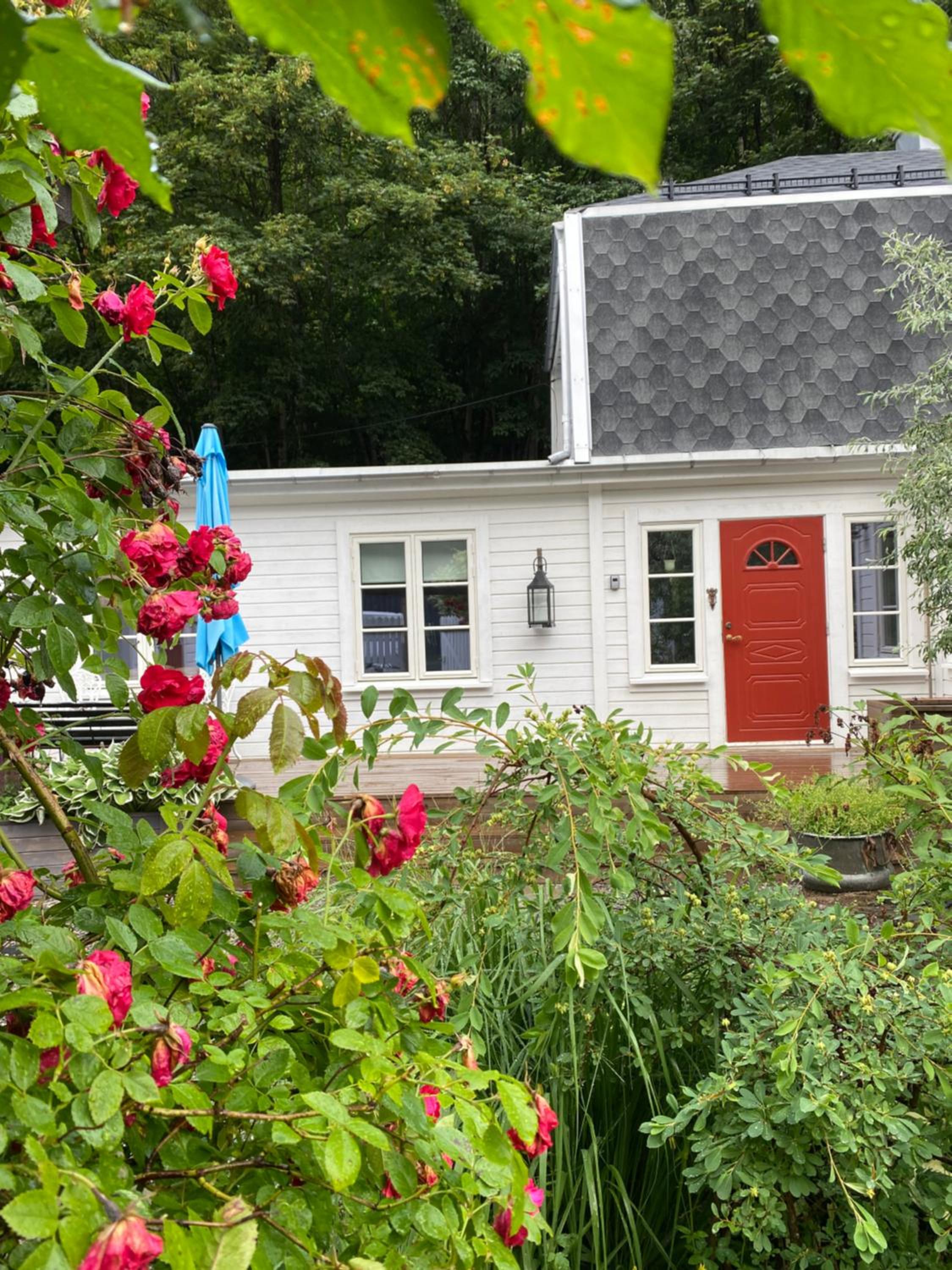 Villa Rjukan view 4