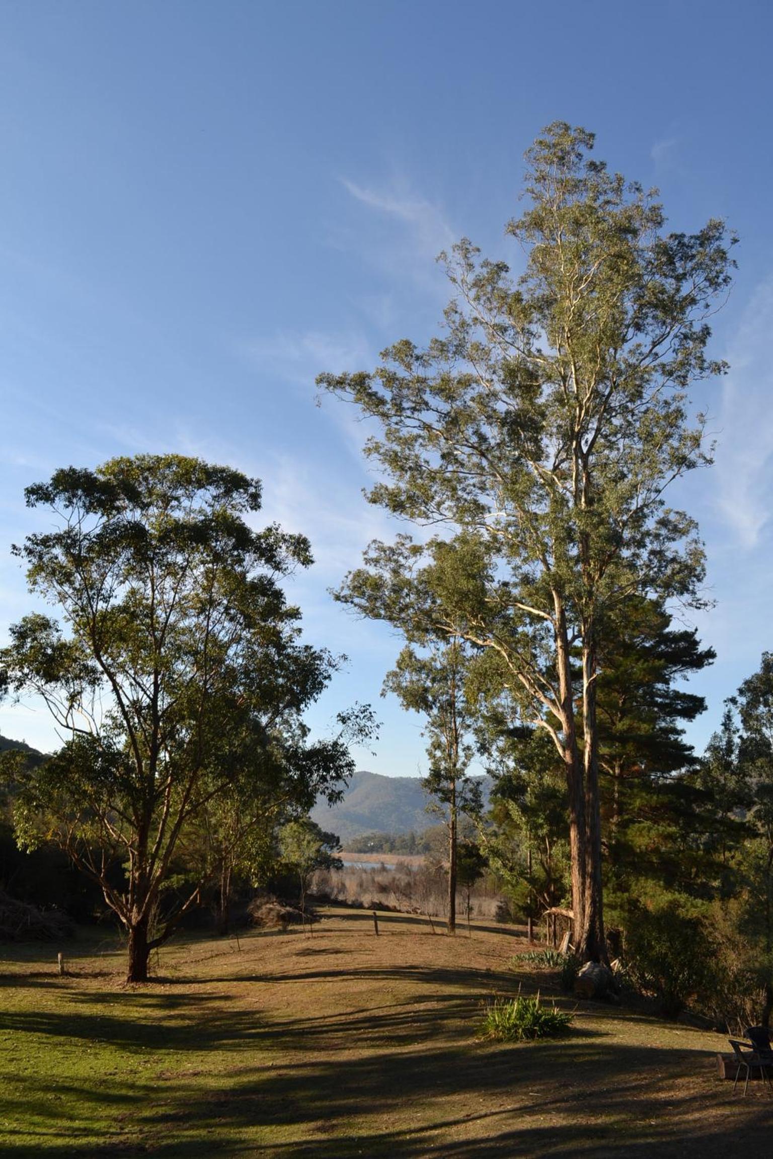 Sunny Corner Lake Eildon