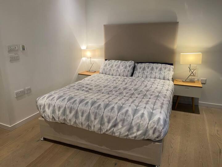 Entire Studio Apartment in Central London SE1