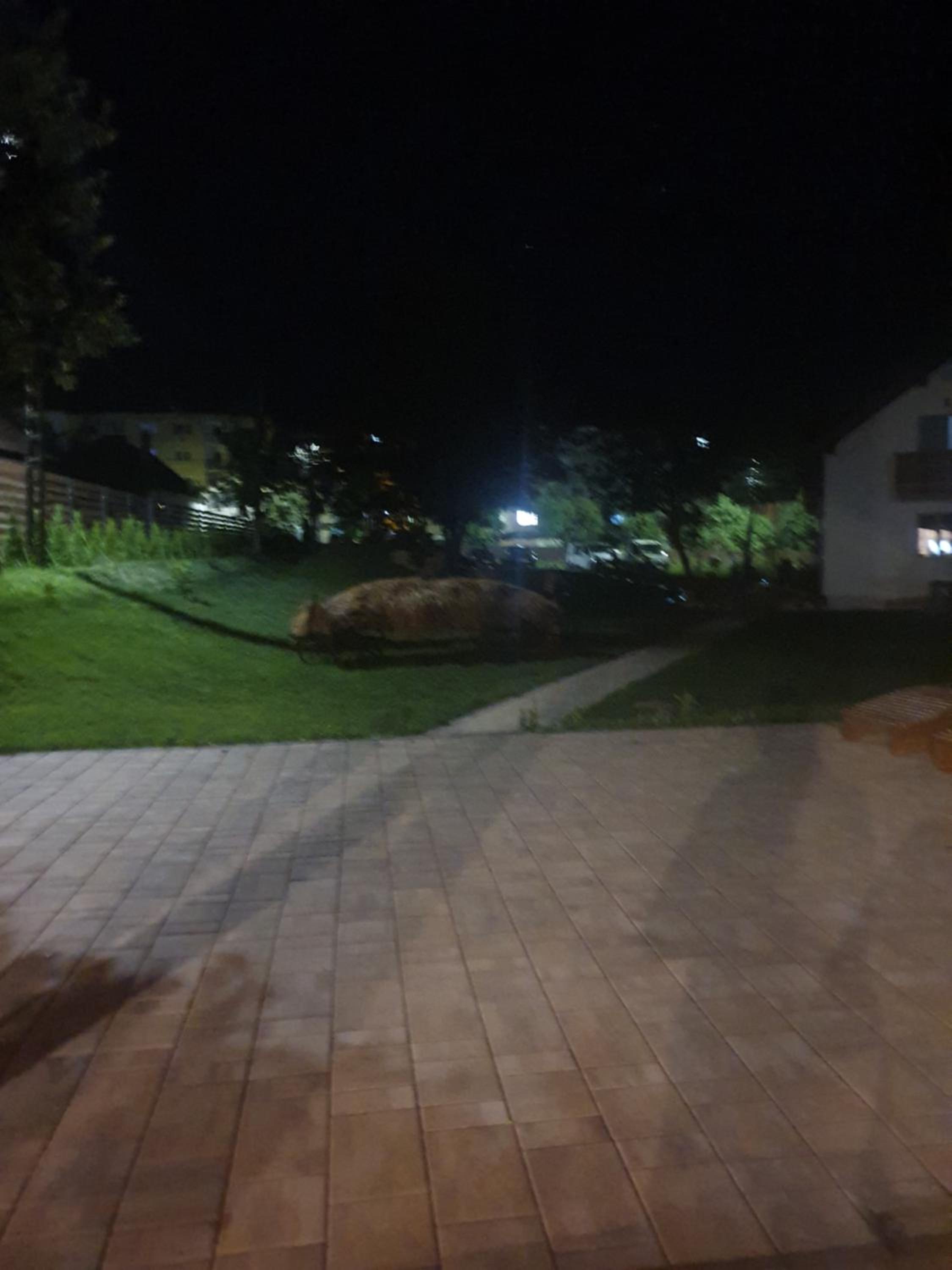Photo 28