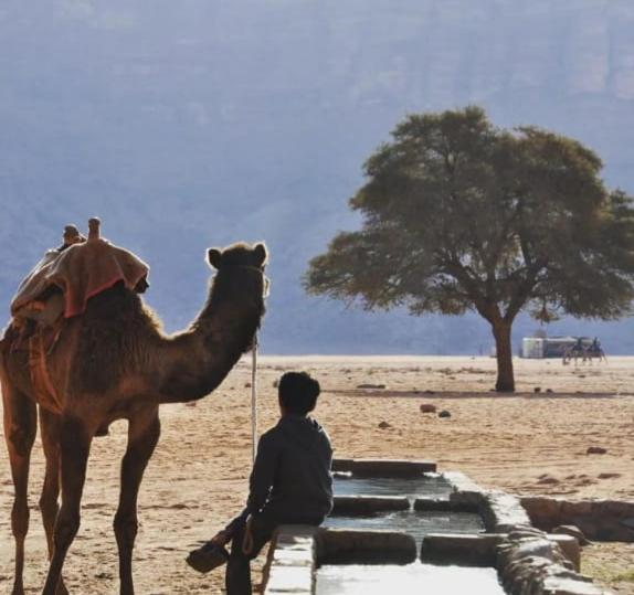 Awad Bedouin camp