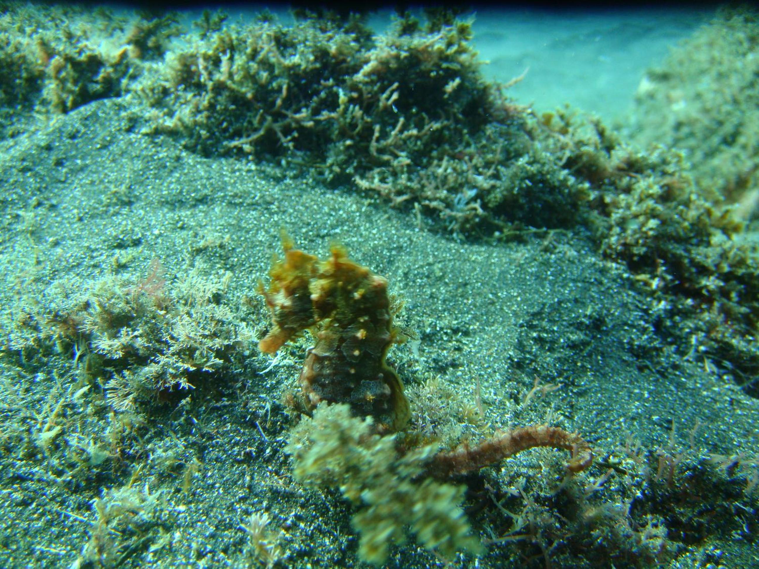 Photo 30