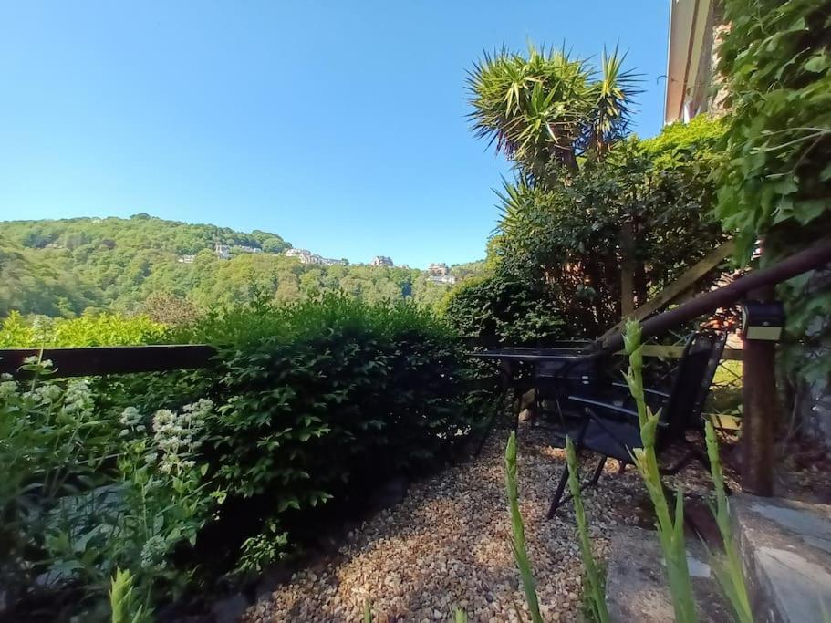 Treetop Cottage at Countisbury Lodge