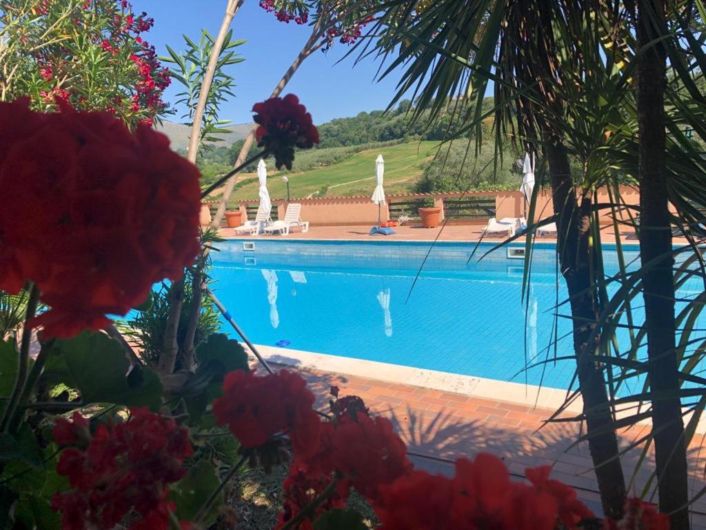 Rea Villa photo 4