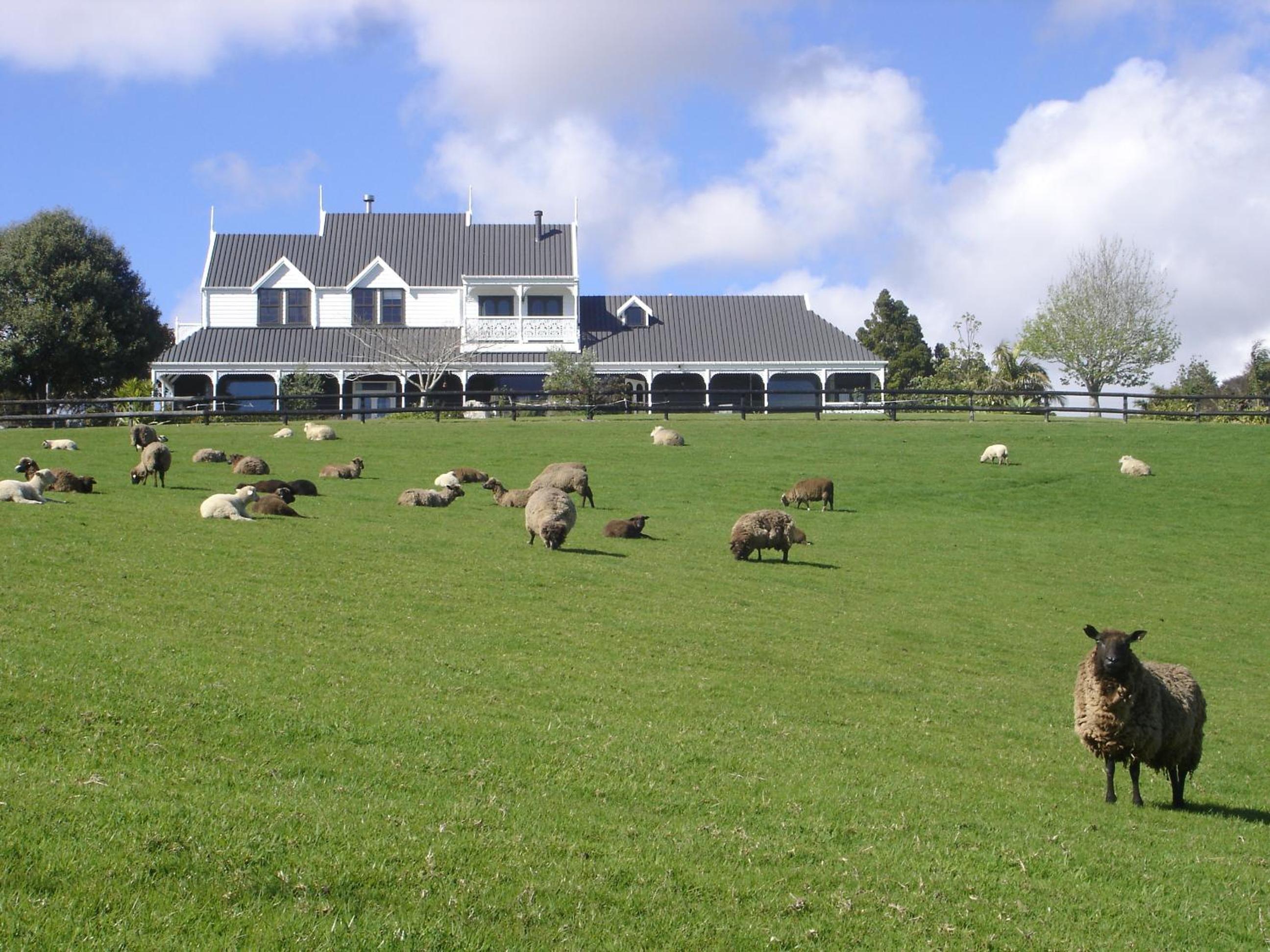 Country Homestead at Black Sheep Farm