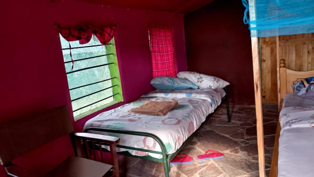 Lookout homestay