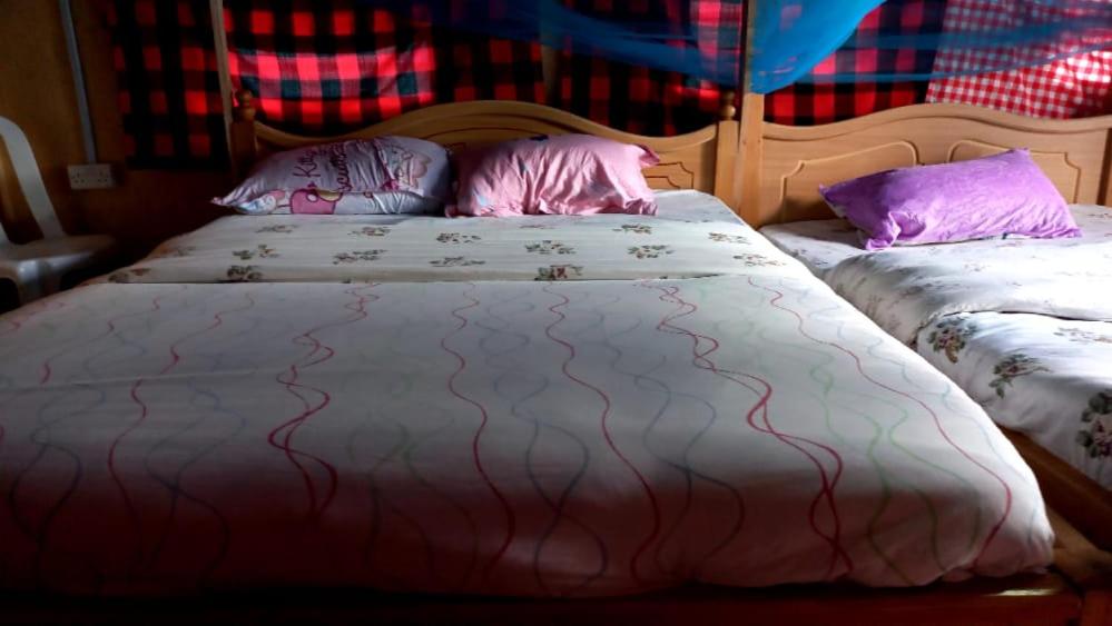 Lookout homestay