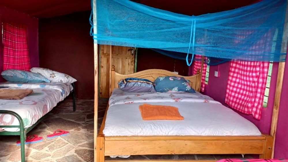 Lookout homestay