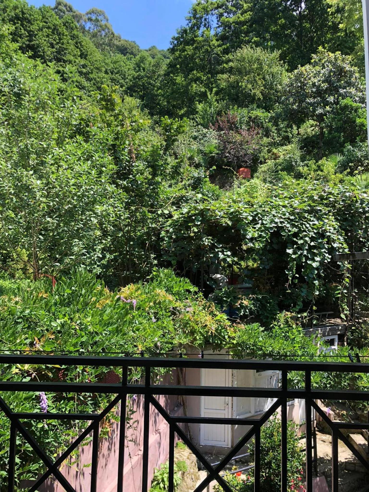 Photo 81