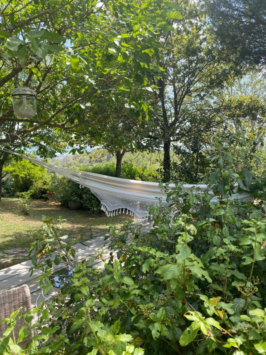 casa intera giardino e piscina photo 3