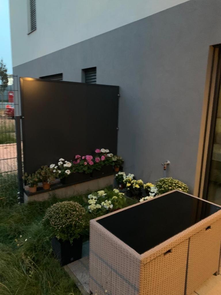 Apartment Dagmar Burešové