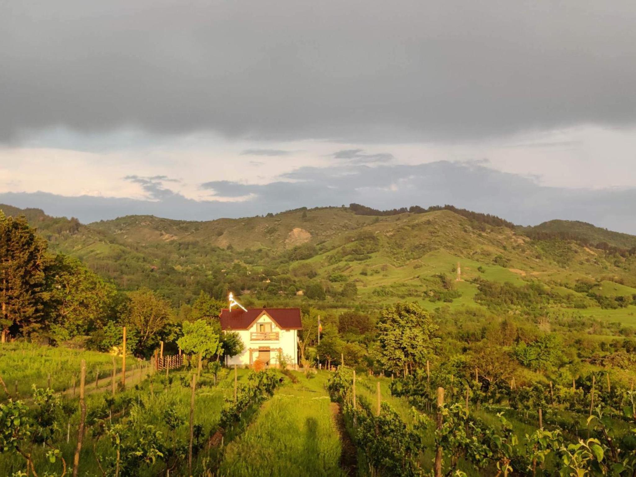 Deleni Retreat - Casa Sitaru view 4