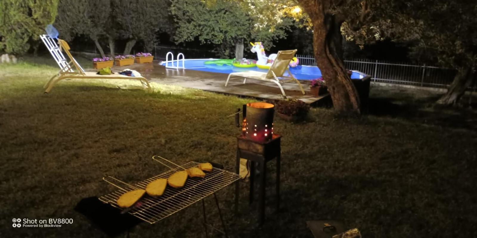 Photo 48