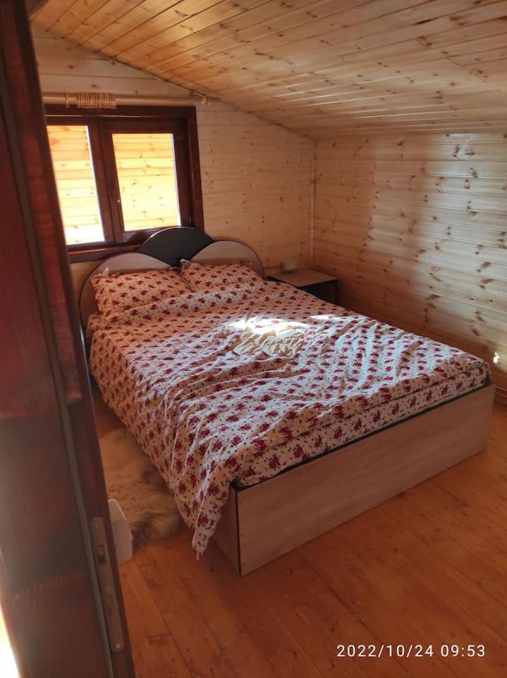 Cabana familiei