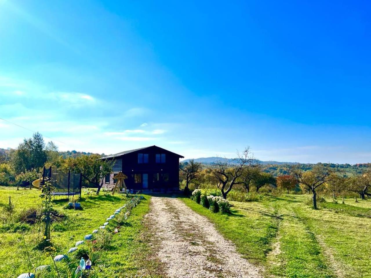 Cabana familiei
