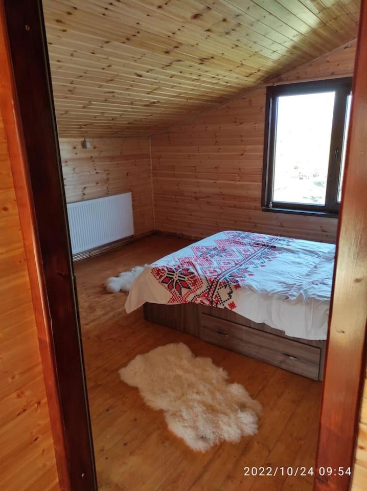 Cabana familiei