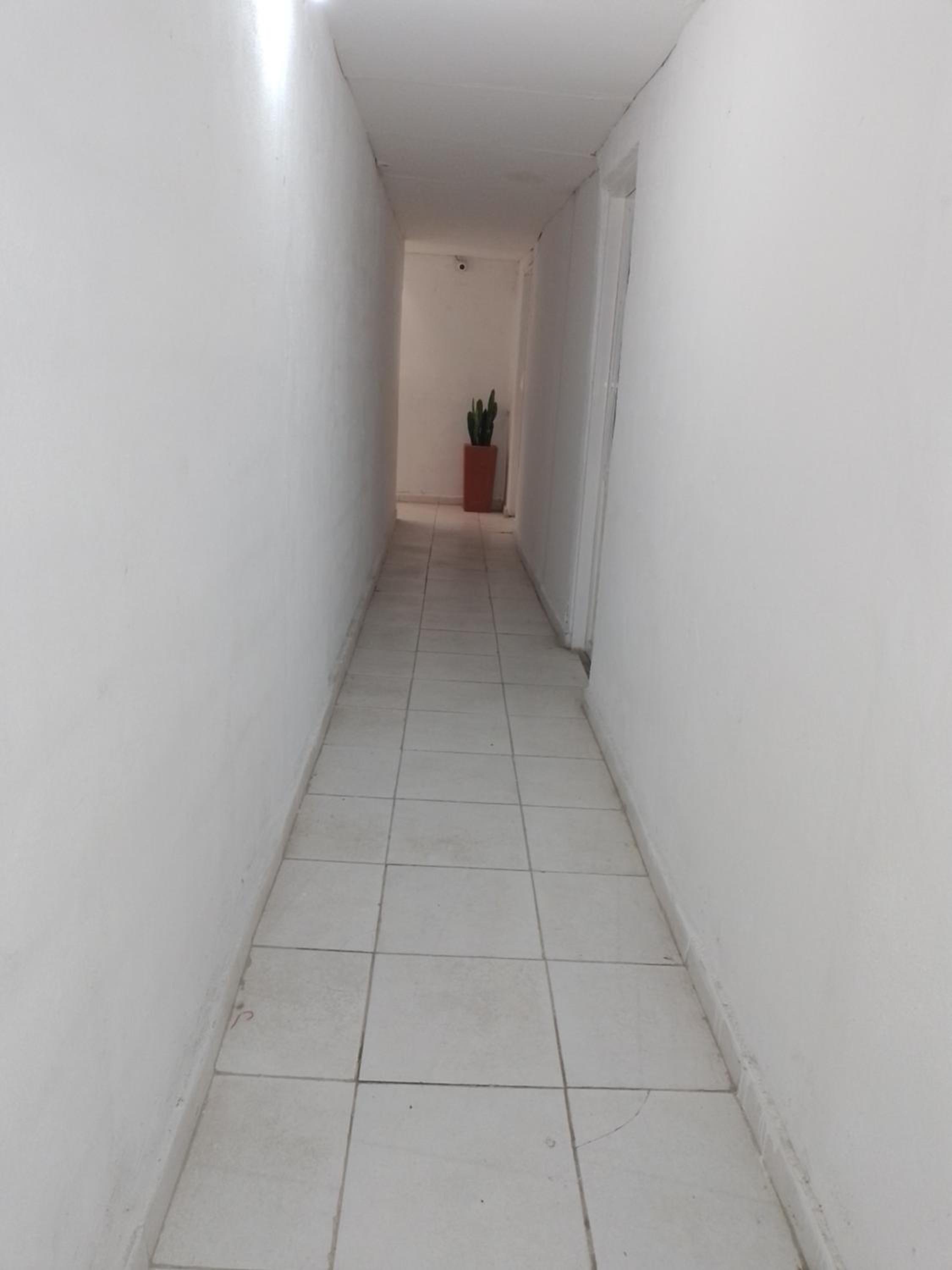 Departamento trebol