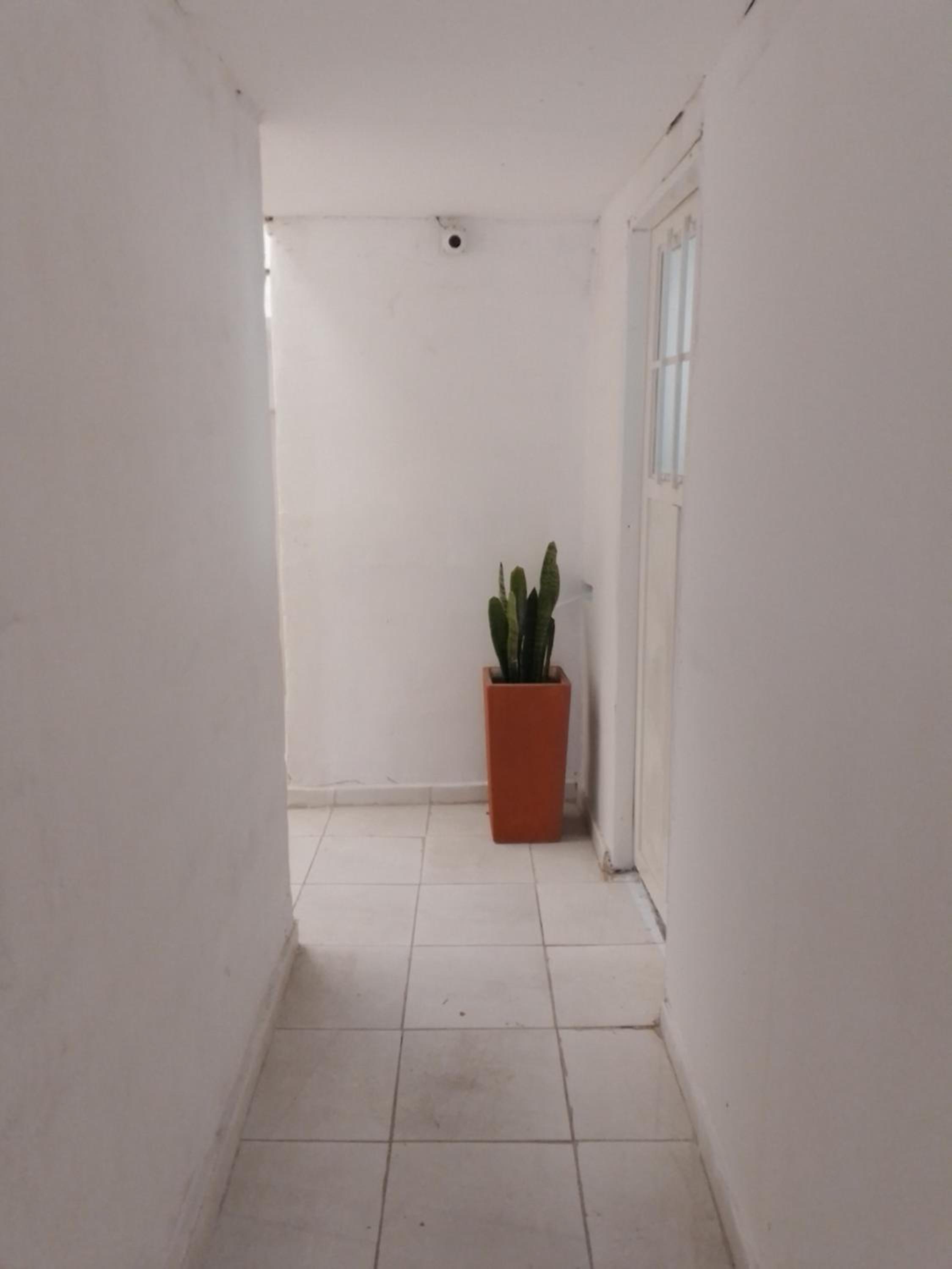 Departamento trebol