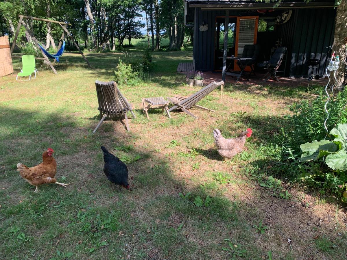 sun& relax- Cabynhouse view 2