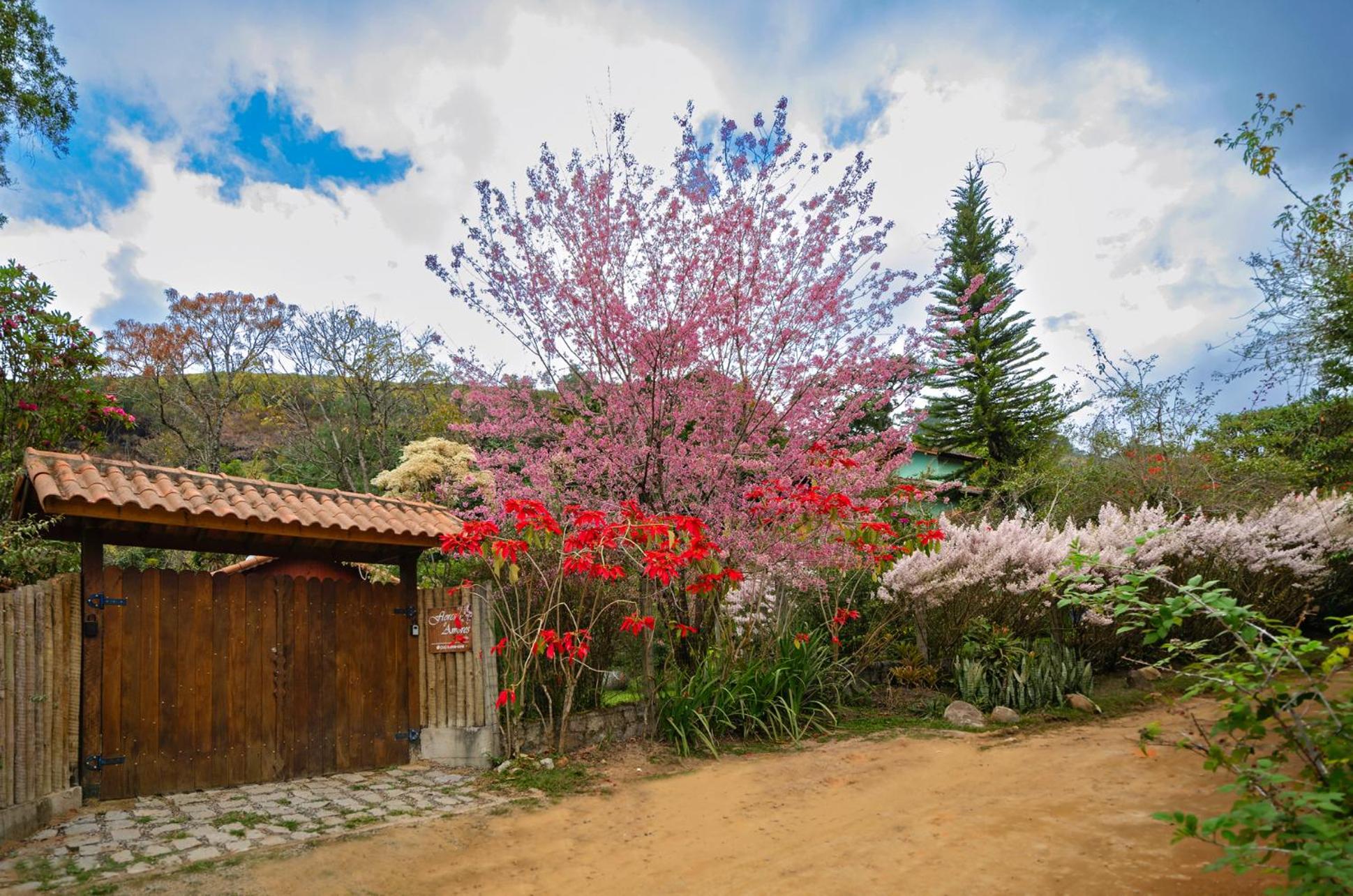 Chalé Flores e Amores