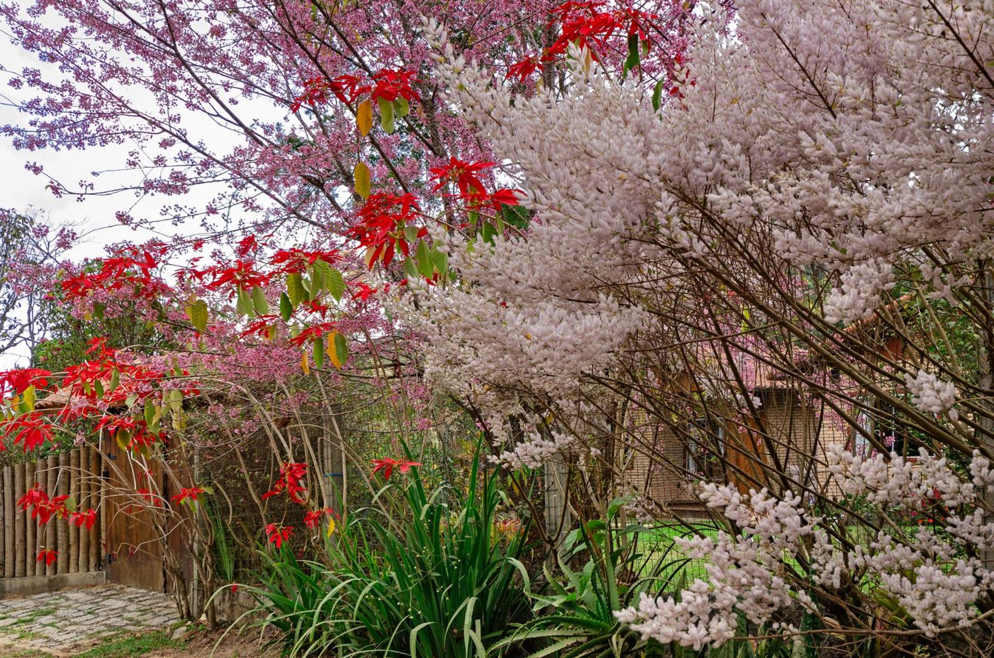 Chalé Flores e Amores
