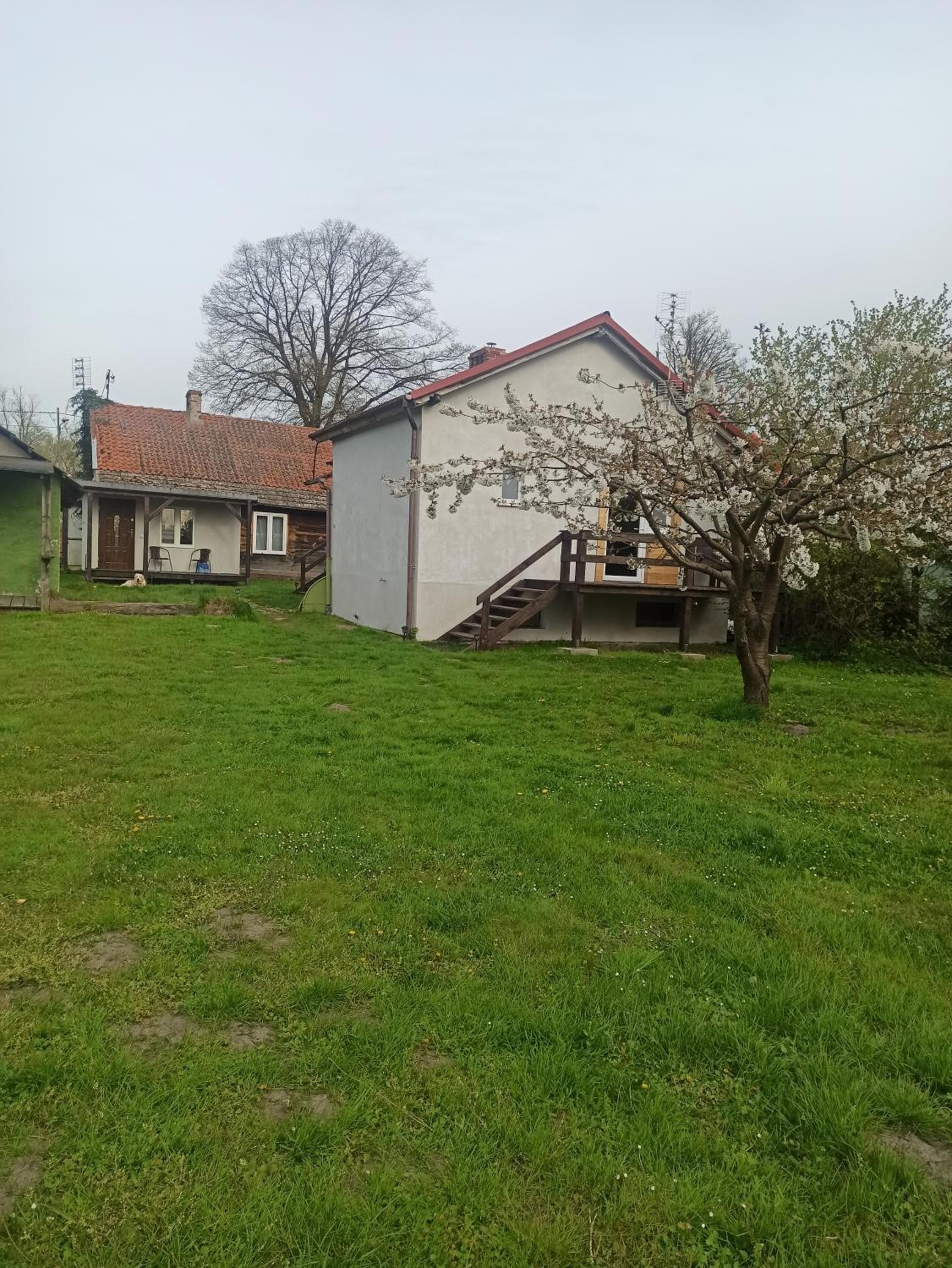 Photo 44