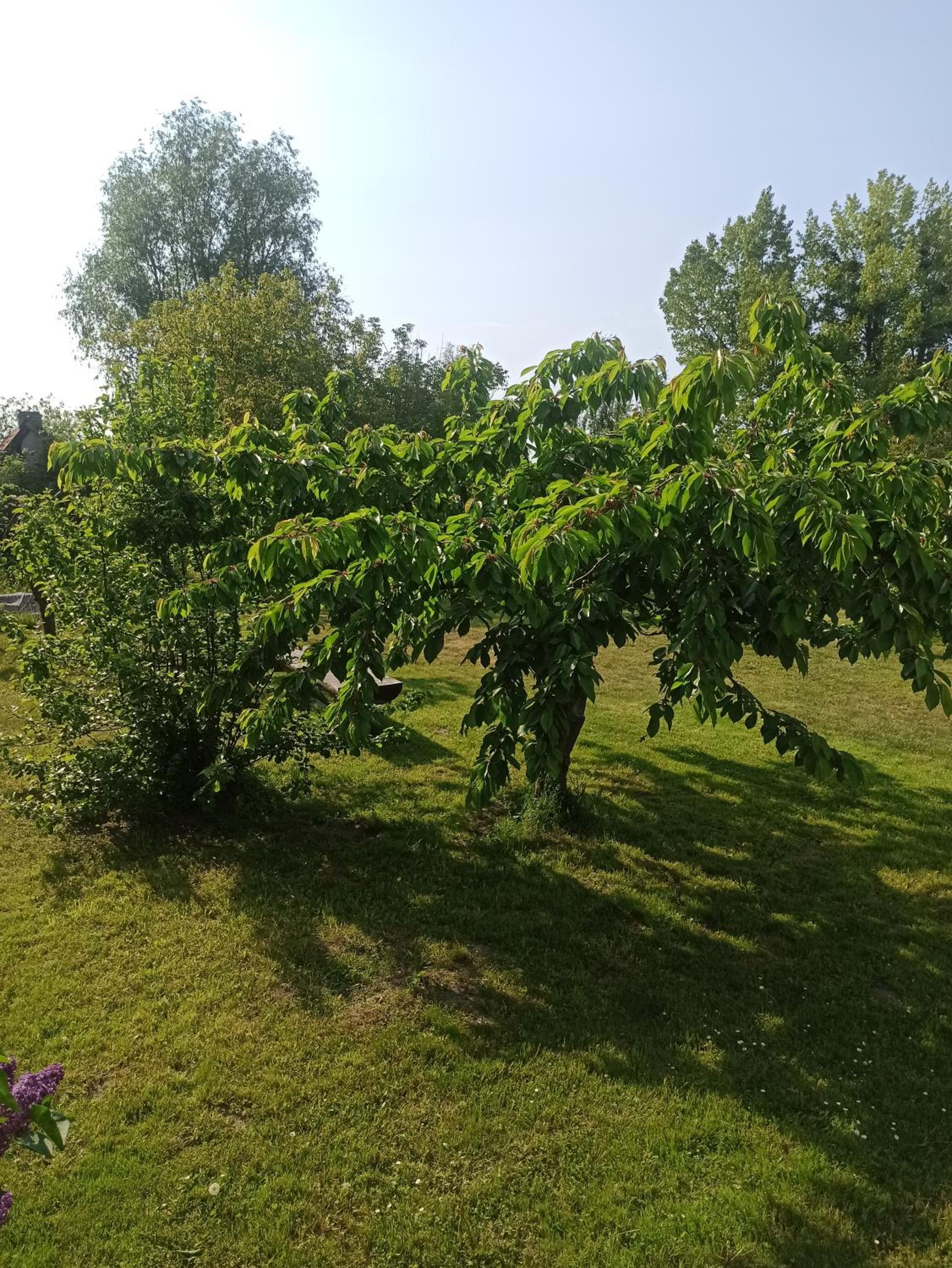 Photo 47