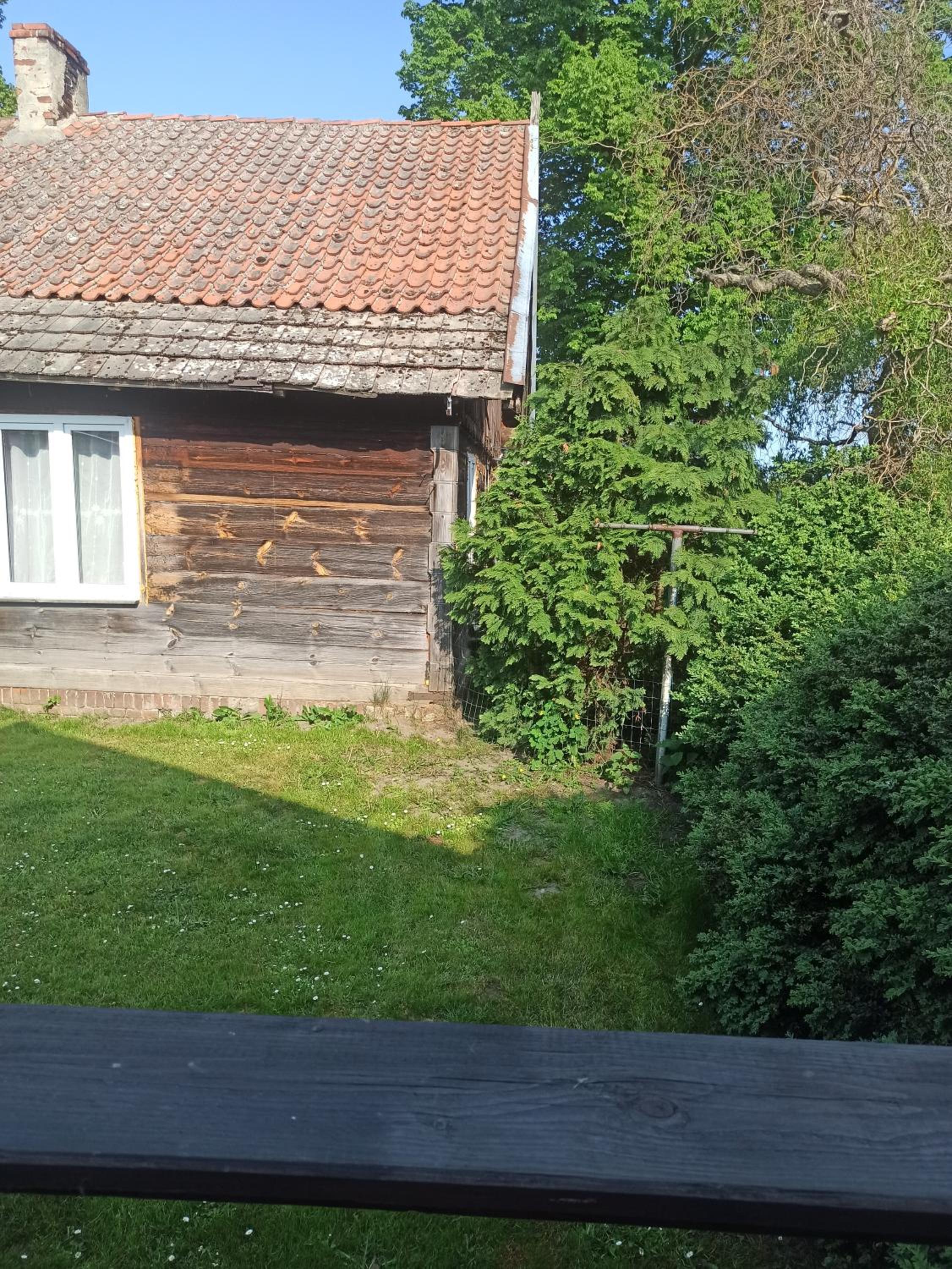 Photo 51