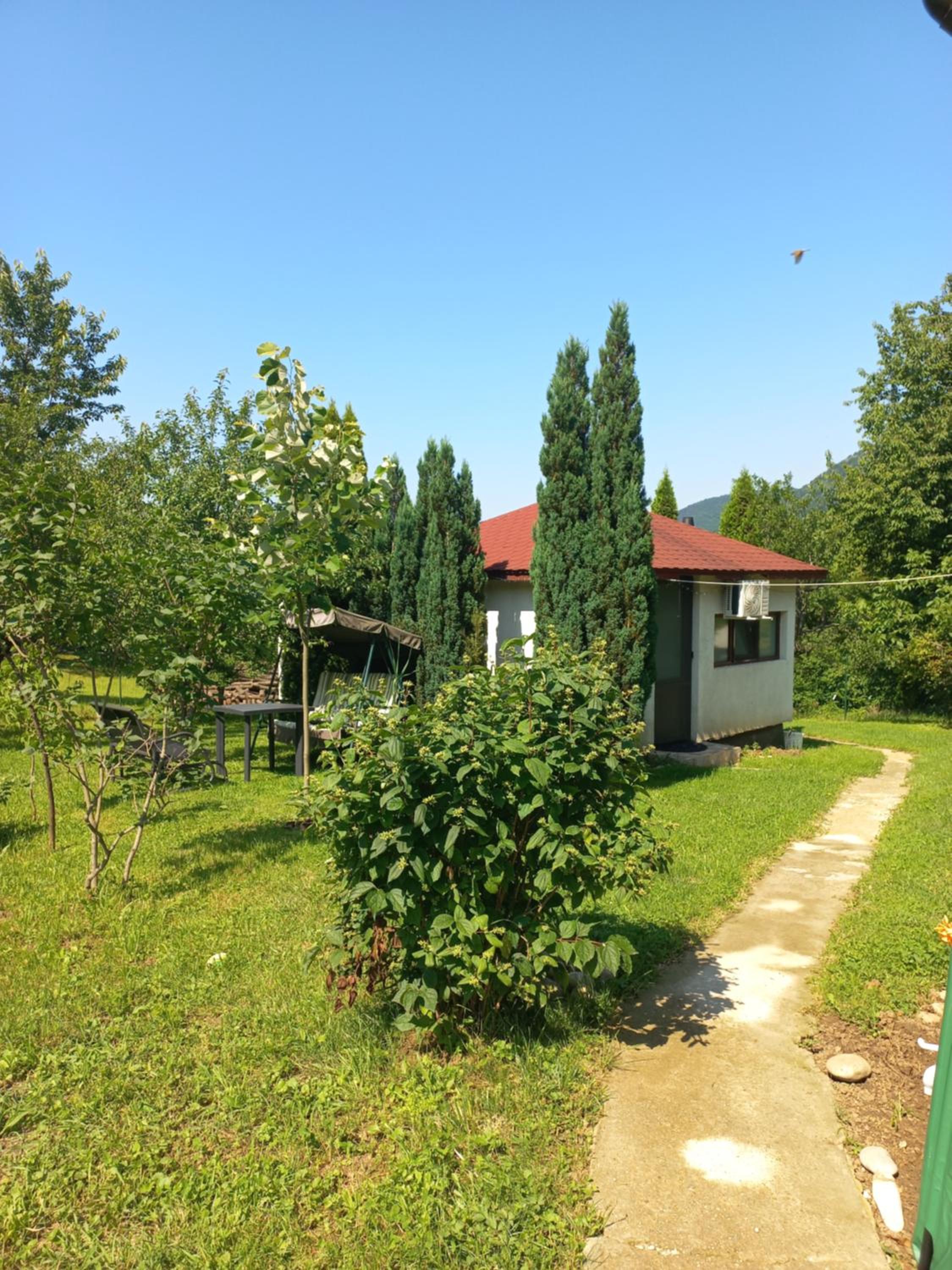 Photo 16