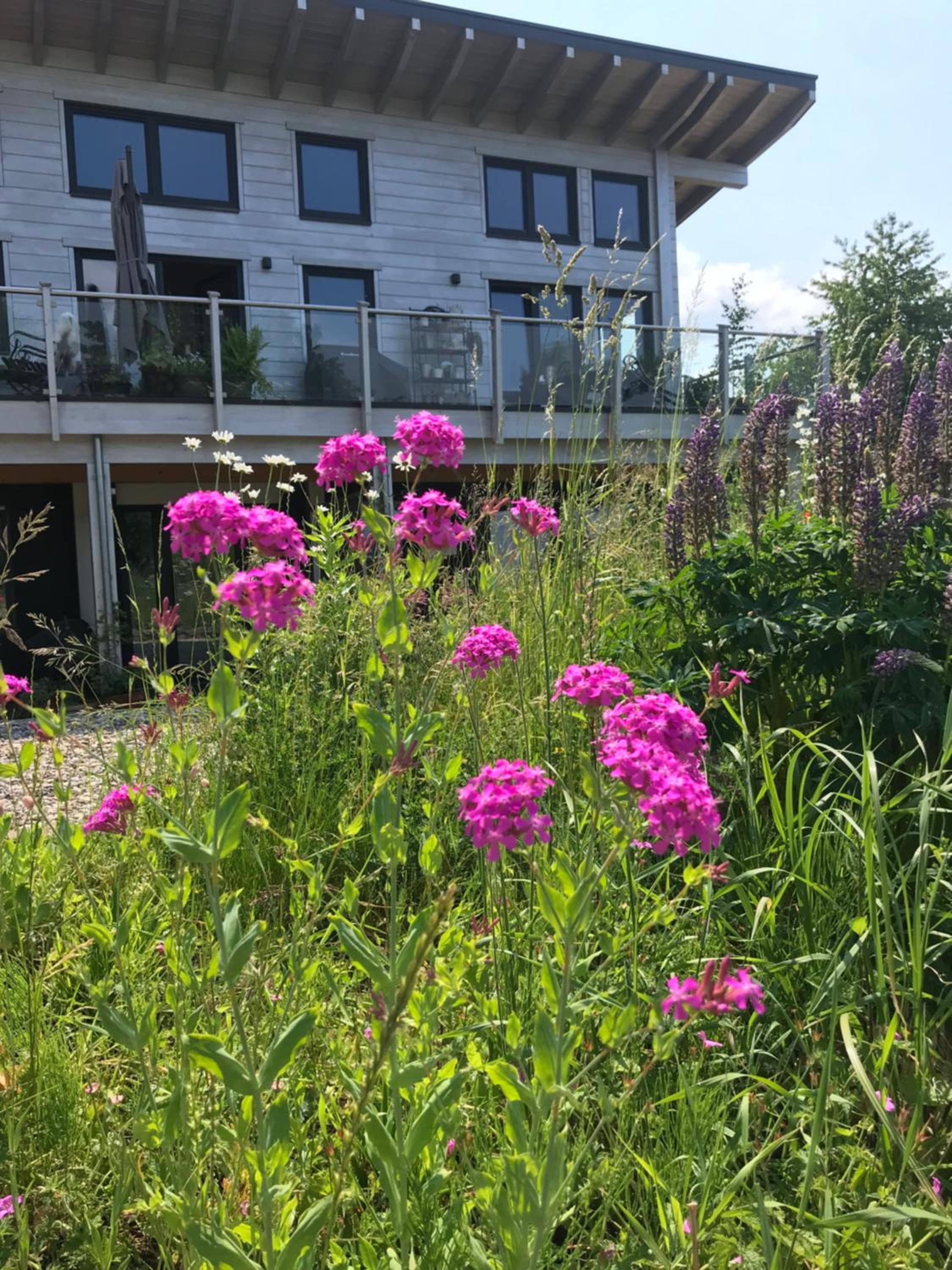 Apartment im Wanderparadies Siebengebirge