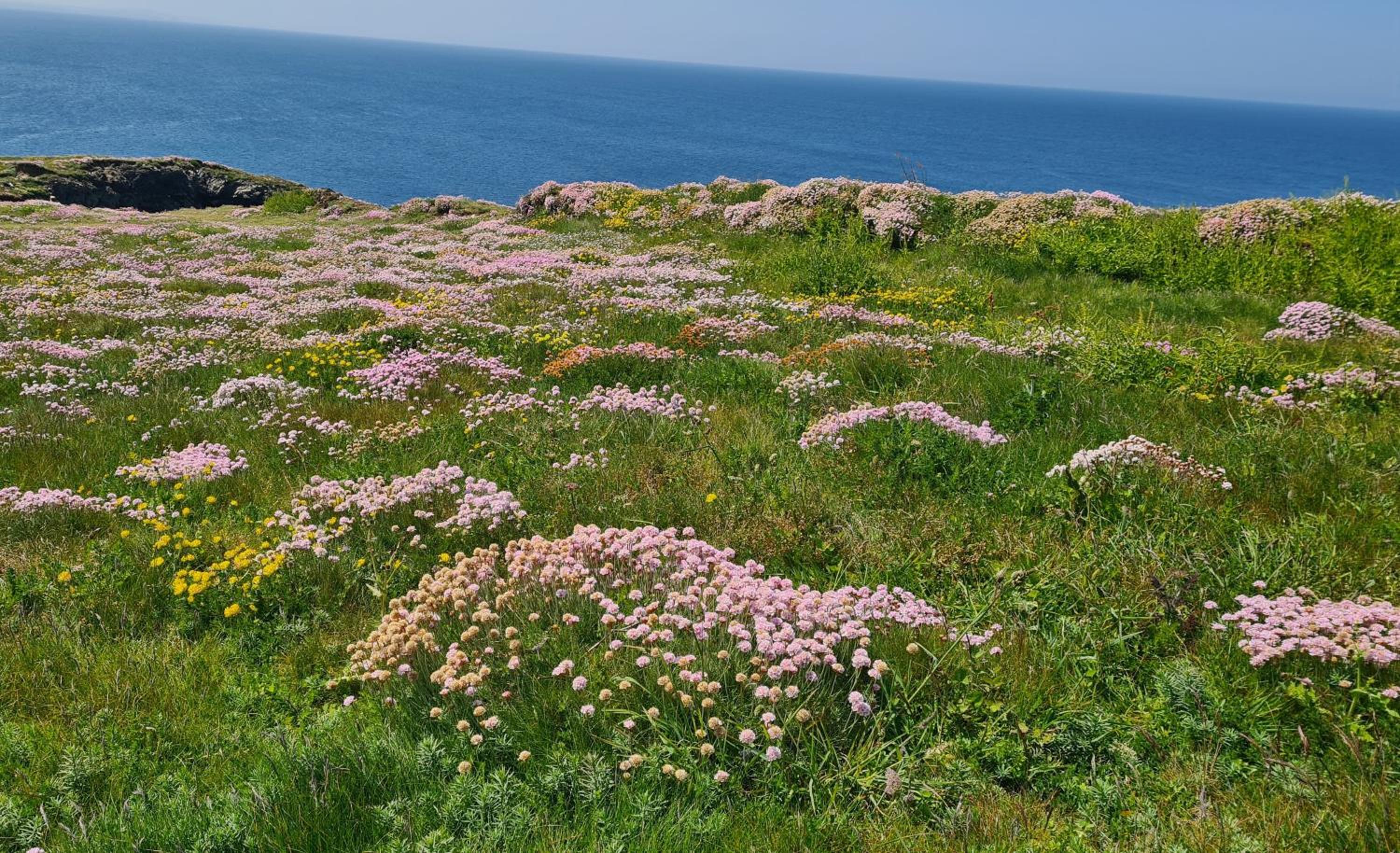 Photo 30