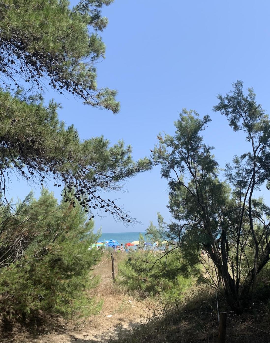Alloggio Vista Mare - Parcheggio Gratis