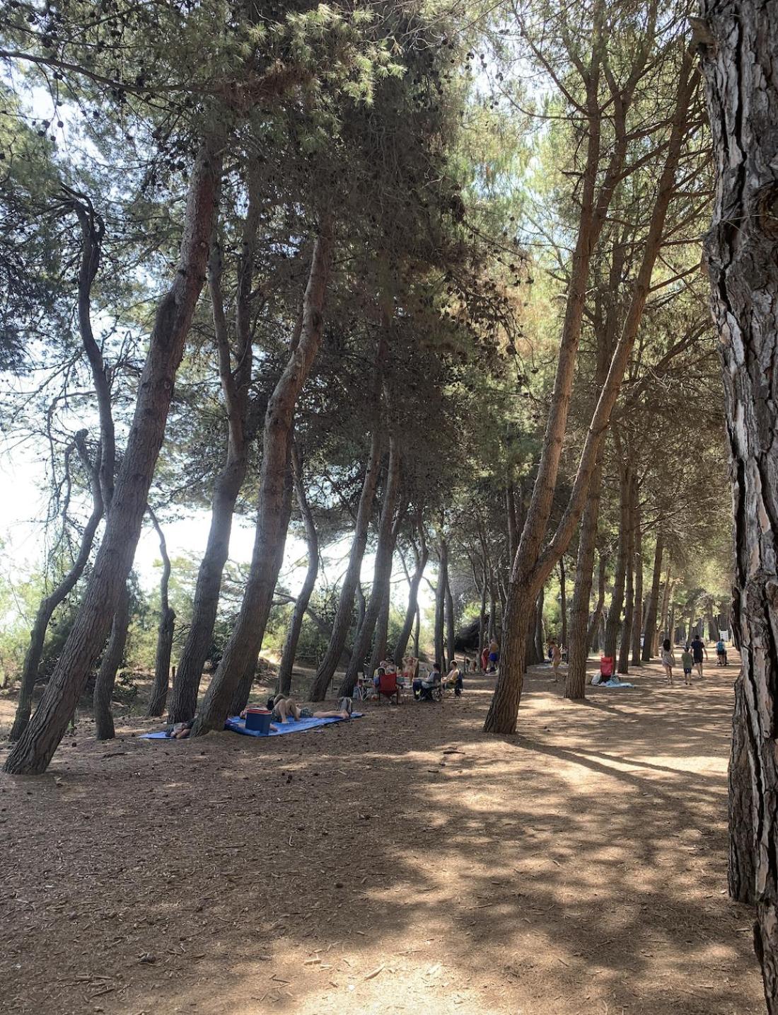 Alloggio Vista Mare - Parcheggio Gratis
