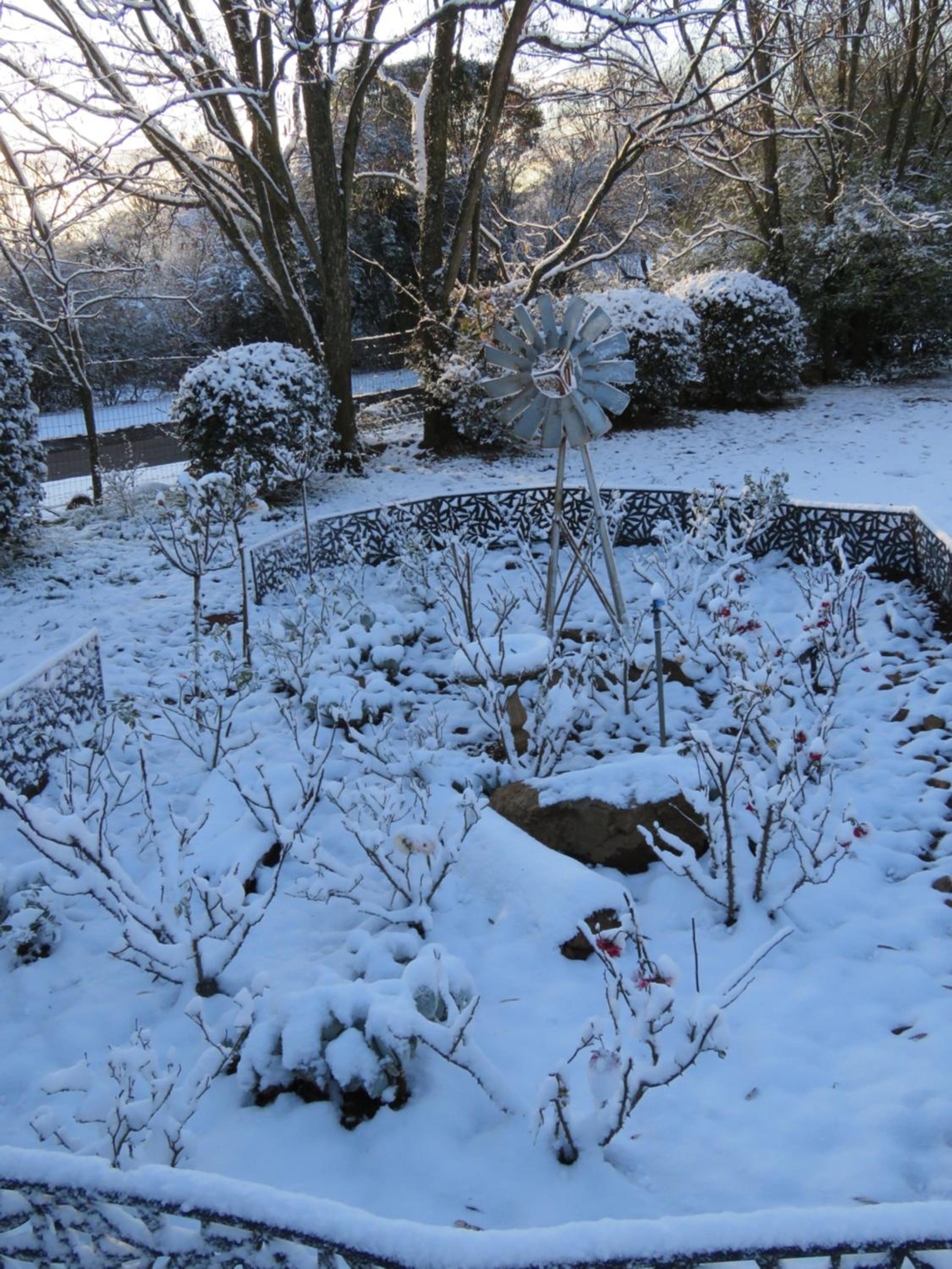 Photo 48