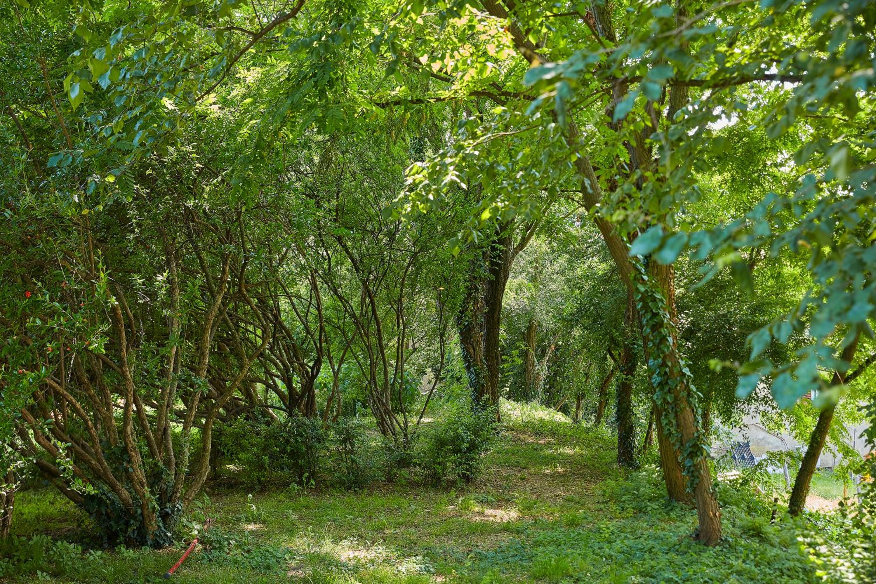 Photo 40