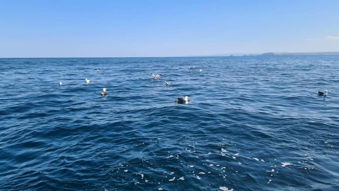 Photo 40