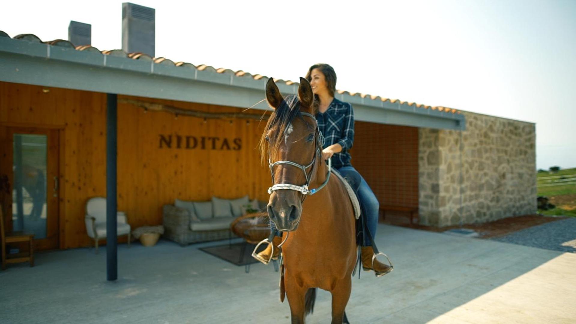 Suites Niditas